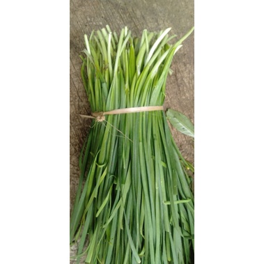 

Kucai segar Chinese chives