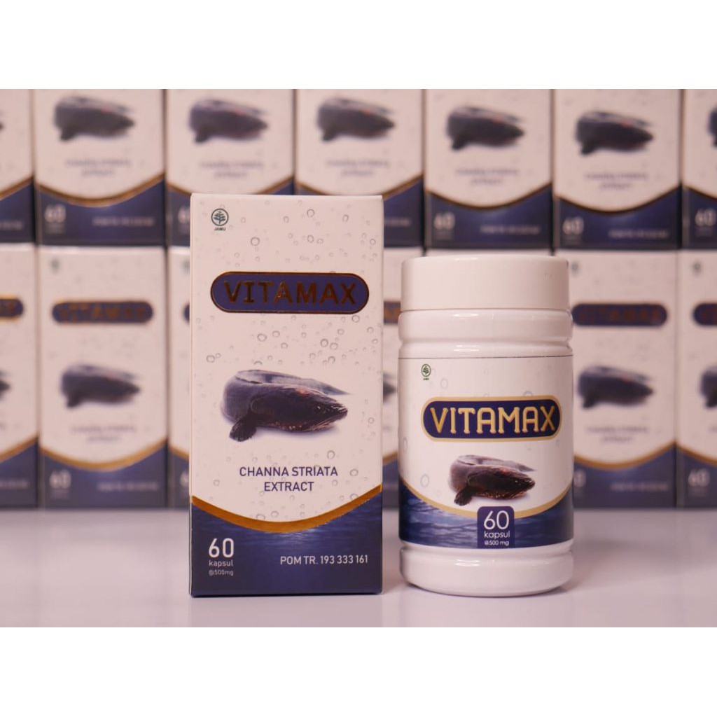 VITAMAX IKAN GABUS BPOM