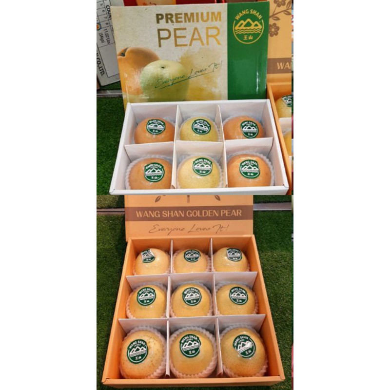 BUAH PIR 1 DUS / PEAR IMLEK / WANGSHAN PEAR PREMIUM TERMURAH / PARCEL IMLEK / HAMPERS IMLEK
