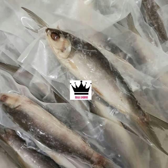 

Fisho | Ikan Bandeng Cabut Duri @1Kg - Garansi 100% Tidak Bau Tanah/Lumpur !!! Ready stock