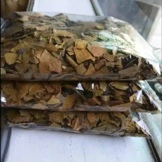 

DAUN SUKUN KERING 100 GRAM