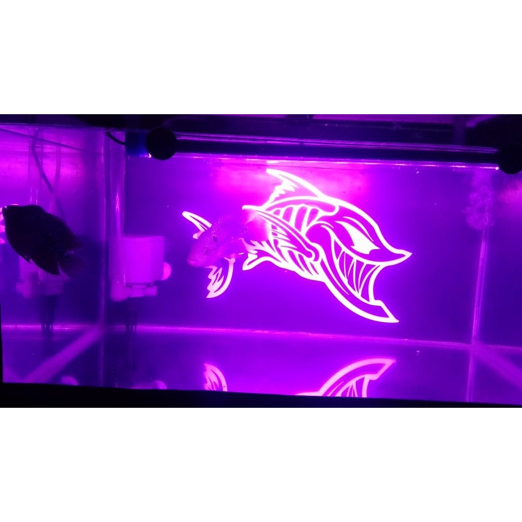 BACKGROUND AQUARIUM TANK IKAN / WALLPAPER AQUARIUM GRATIS CUSTOM DESAIN