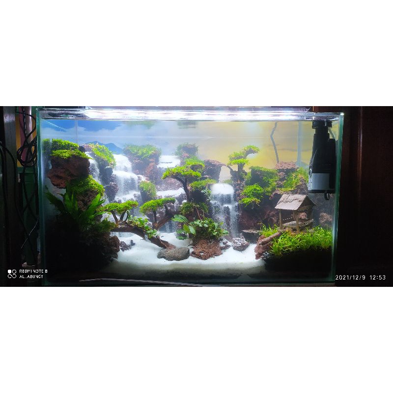 Aquascape dobel air terjun