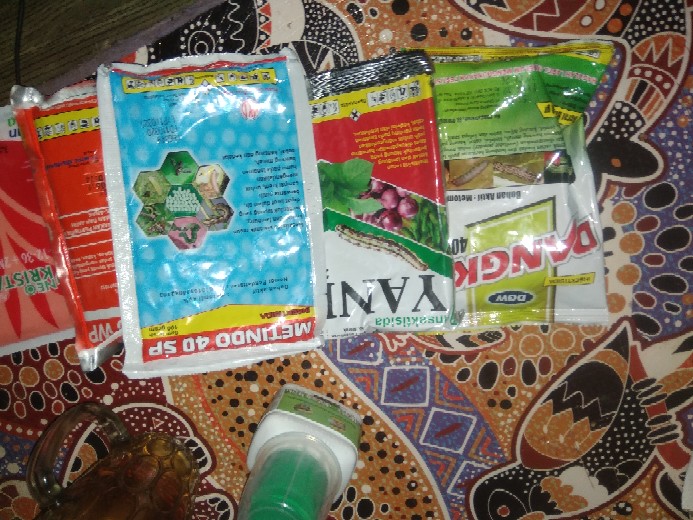 Insektisida Yanet Metomil 27wp 100gr