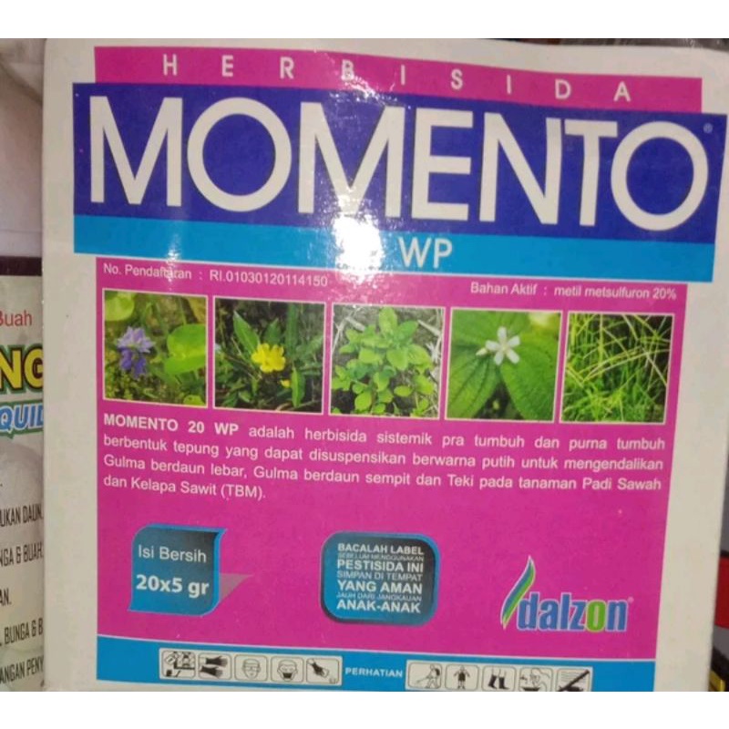 herbisida momento 20 wp
