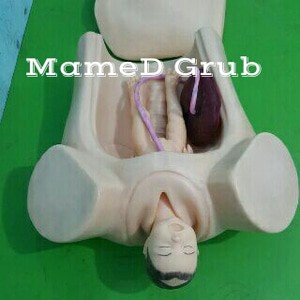 Phantom Panggul- Panggul Persalinan Silicone