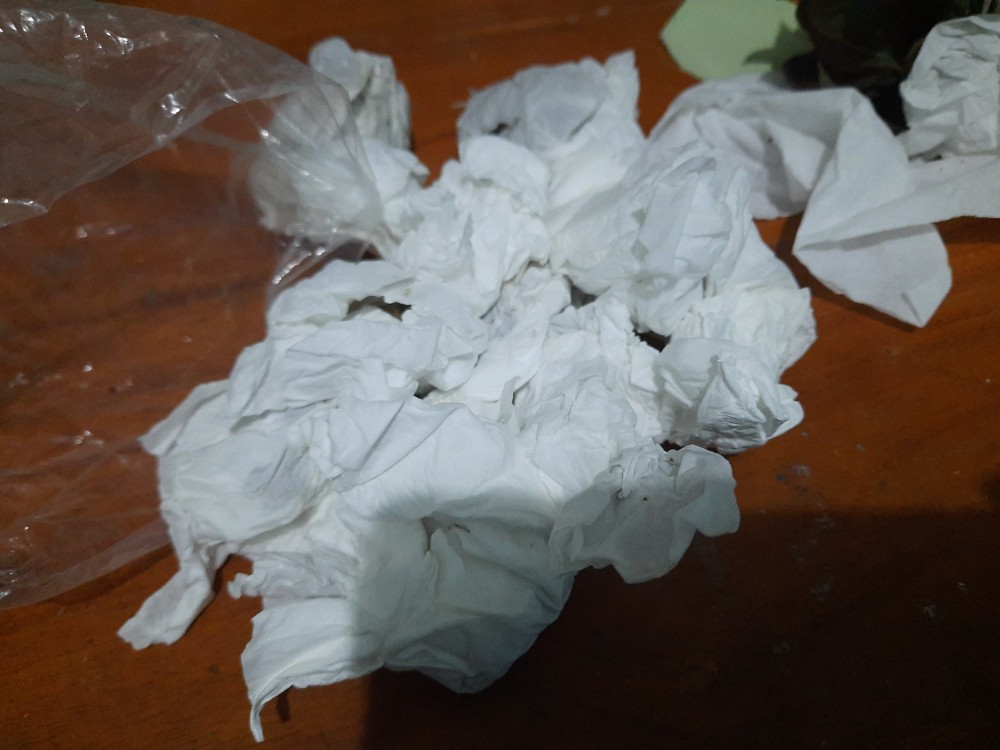 Cladium White Qween Bonggolan