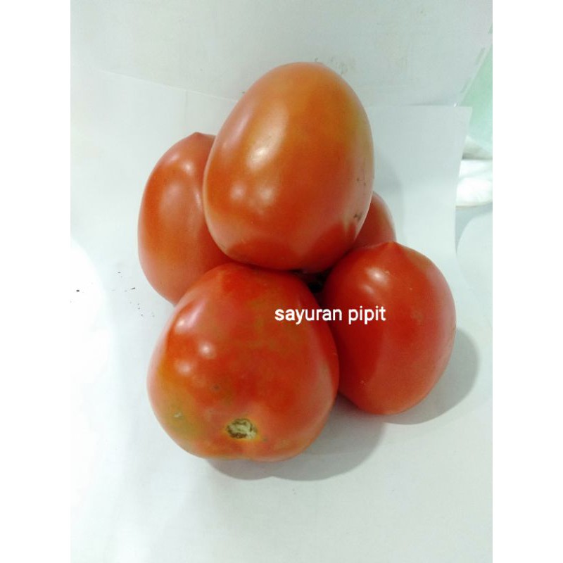 

tomat 500gr