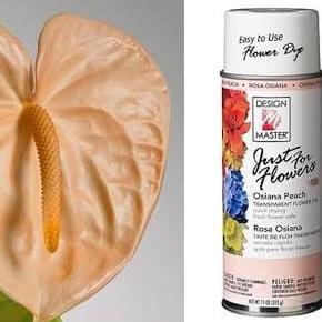 

Design Master Just For Osiana Peach - Pewarna Bunga - Spray Bunga
