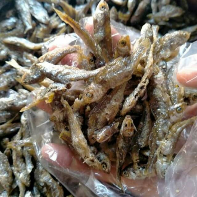 

Ikan bilih danau singkarak