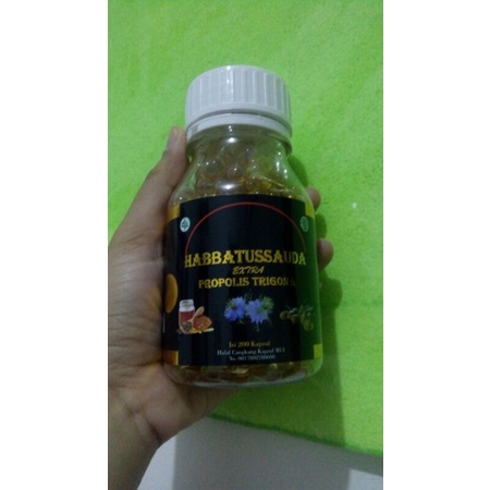 Habbatussauda trigona