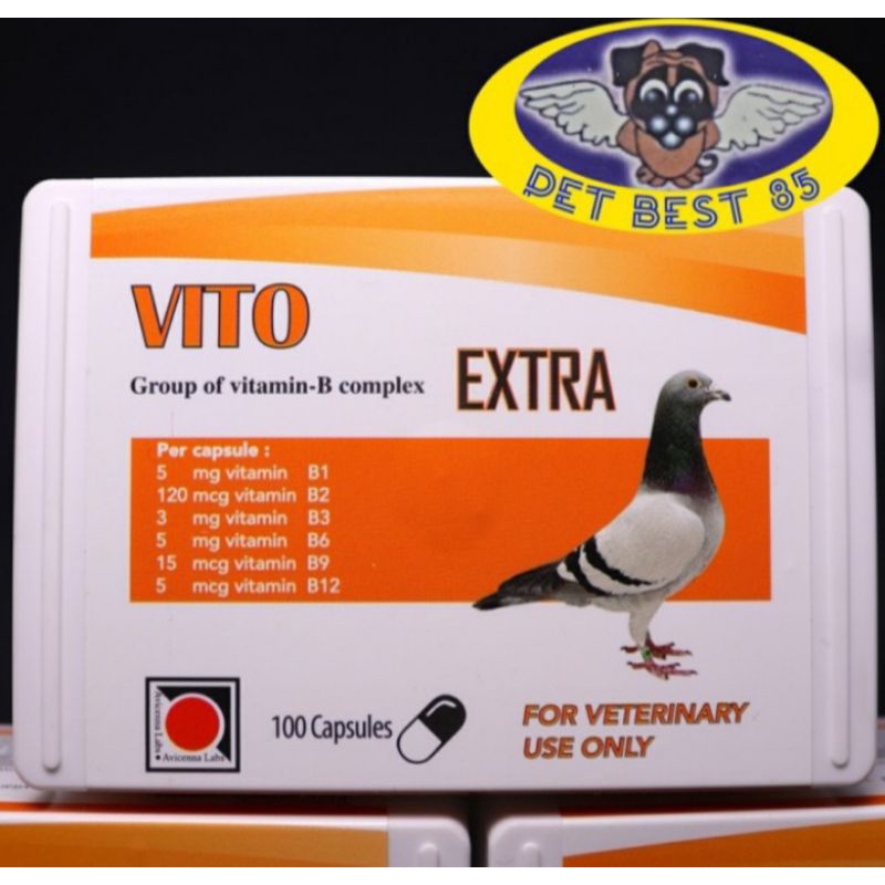 Vito Extra Vitamin B Complex Bird 100 Capsul Vitamin B Komplek Burung