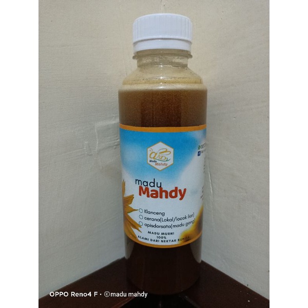 

madu klanceng
