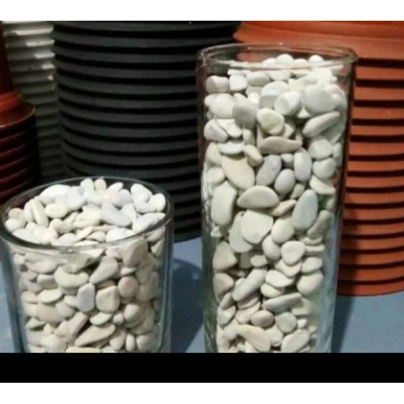 Batu coral putih kecil 1 kg