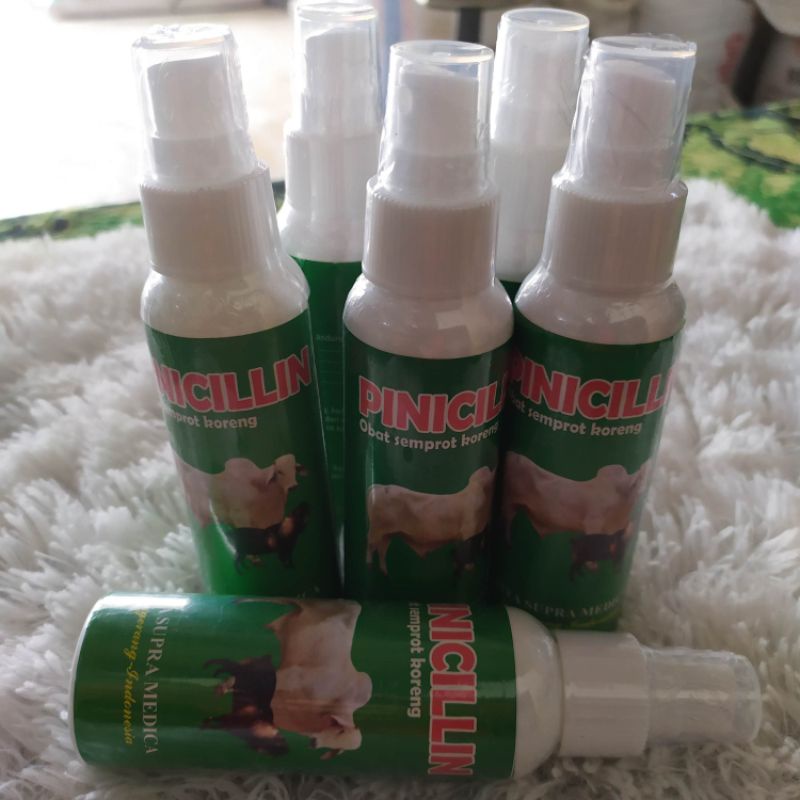 pinicillin semprot obat  koreng sapi kambing