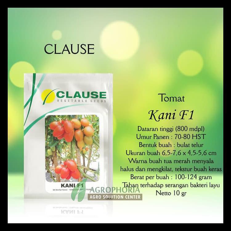 Promo Benih Tomat Kani 10 Gram - Clause