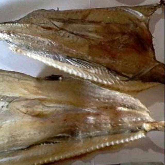 

Ikan Tipis Jambrong