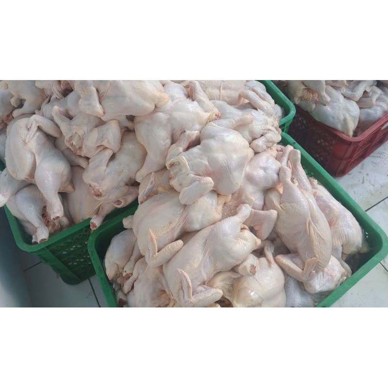

ayam potong 0,8-0,9,1kg