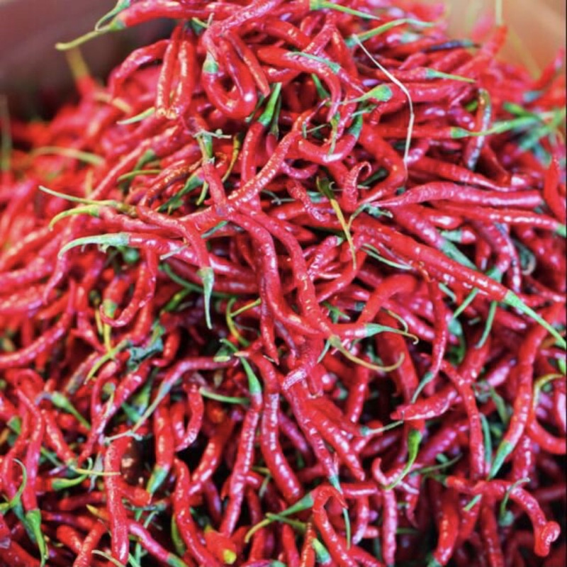 

ALLISA CABE MERAH KERITING FRESH 500gr