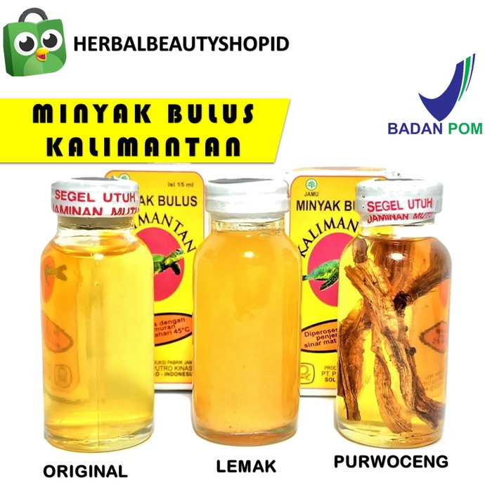 Terlaris MINYAK BULUS KALIMANTAN PLUS/PEMBESAR PAYUDARA PEMBESAR PENIS ORIGINAL - ORIGINAL