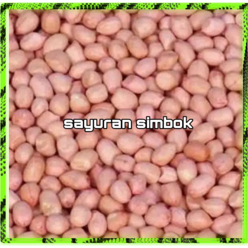 

Kacang tanah segar murah