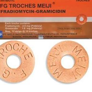 Cas E 791 Fg Troches Meiji Obat Radang Tenggorokan 1 Box