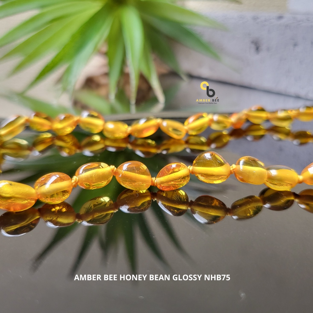 Kalung Amber Bayi &amp; Anak Premium Glossy Honey Beans NGHB75 By Amber Bee