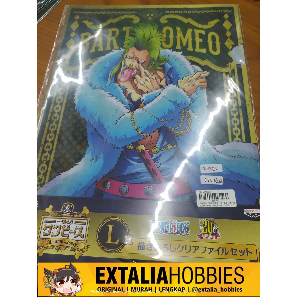 

CLEAR FILE ONE PIECE