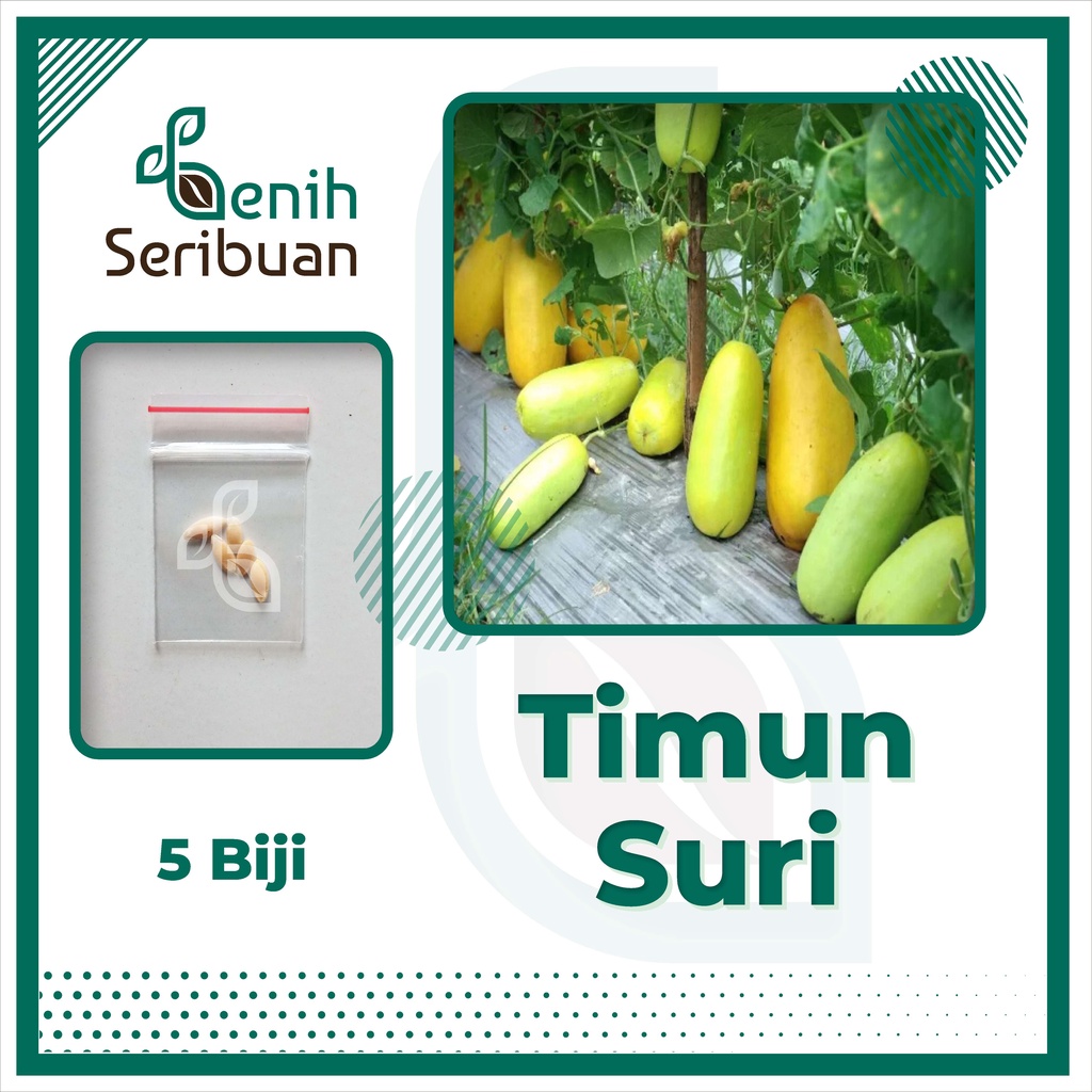 BS-BYL Benih Buah Bibit Tanaman Buah F1 Hibrida Unggul Anggur Strawberry Semangka Melon Labu Pepaya Jambu Blackberry Ciplukan Raspberry dll-TIMUN SURI