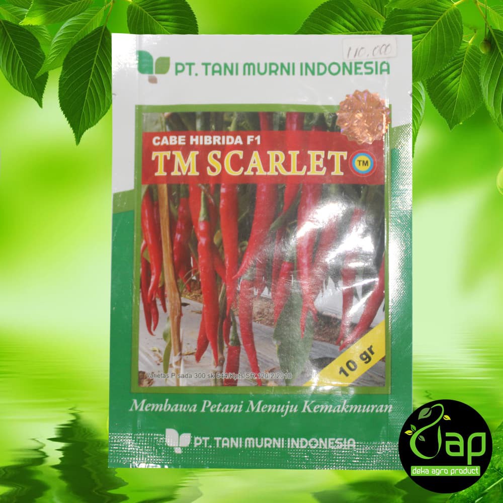 BIBIT / BENIH CABAI BESAR TM SCARLET 10GR