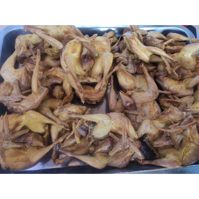 

Burung Puyuh Ungkep(5ekor)