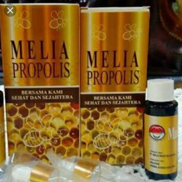 Propolis melia asli
