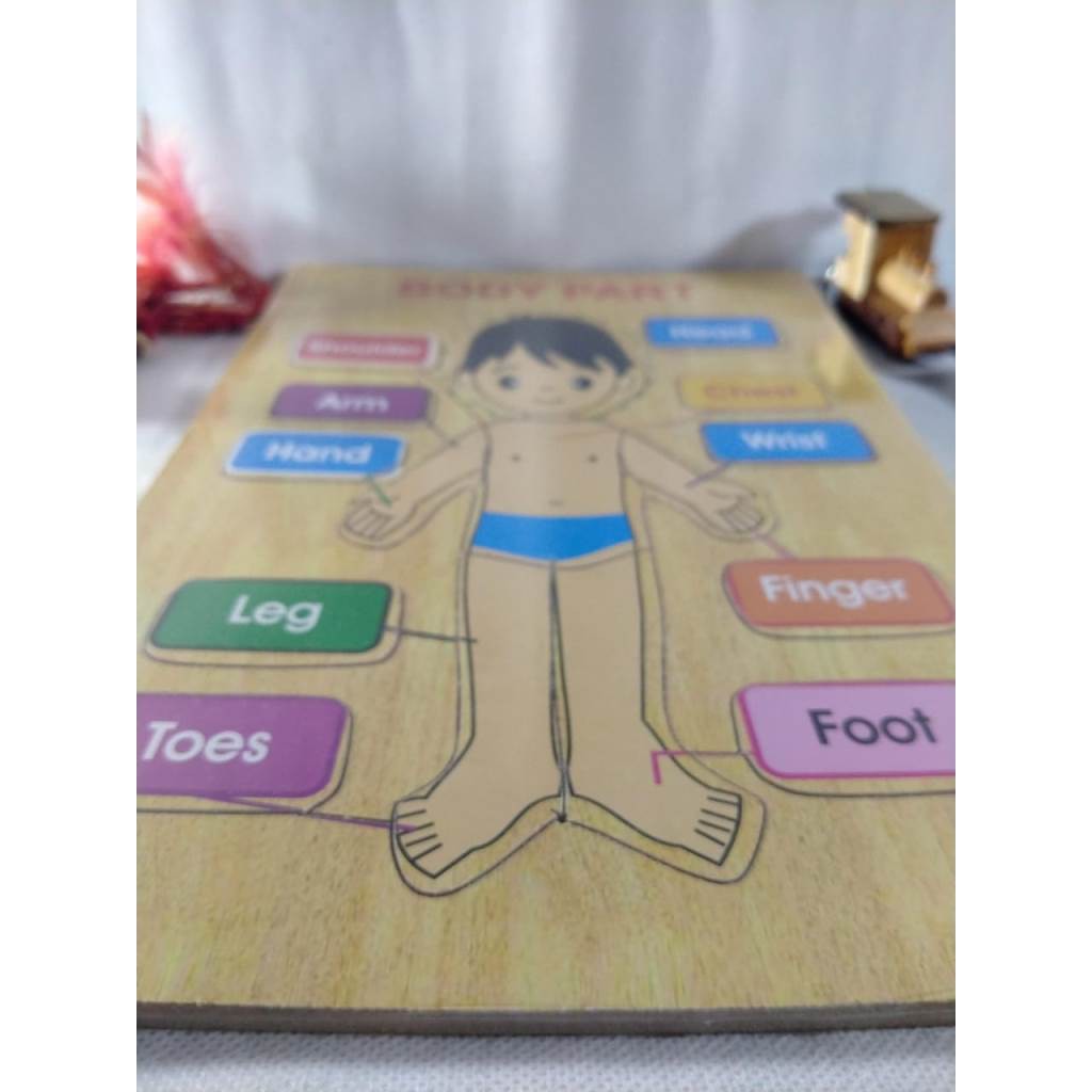 PUZZLE KAYU. MAINAN EDUKASI. PUZZLE GAMBAR BODY PART BAHAN KAYU. Riens Collections