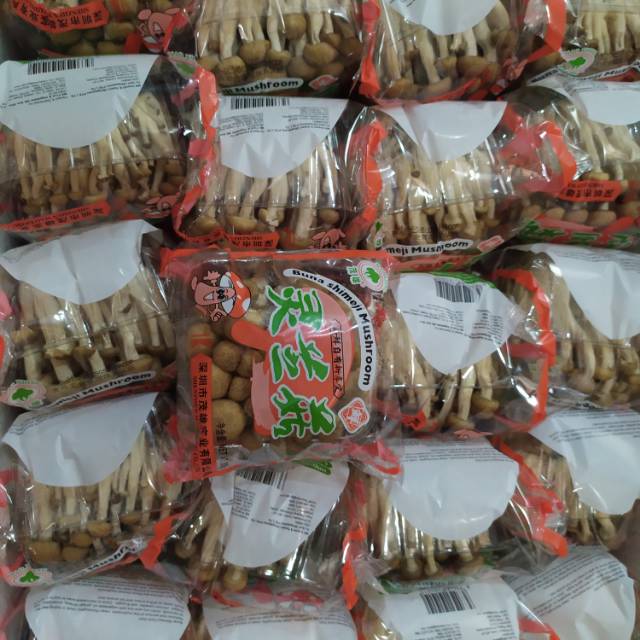 

Jamur Shimeji Coklat