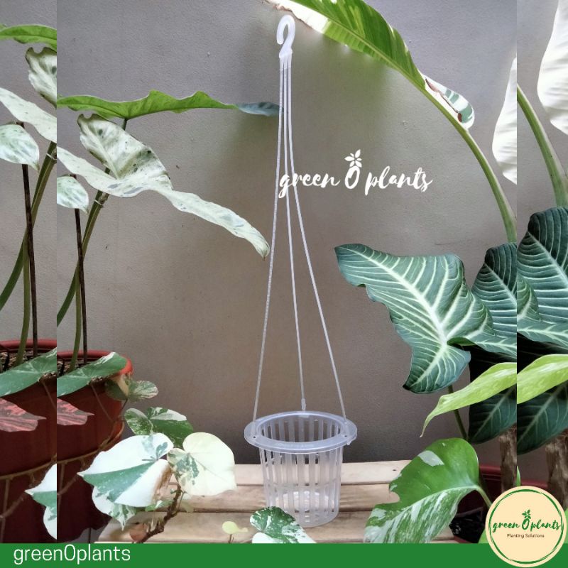 Pot Bunga Tanaman Gantung Anggrek Bibit NKT Netpot 14cm Bening