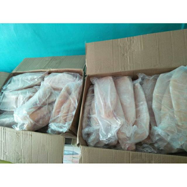 

Bogor Ikan dori frozen
