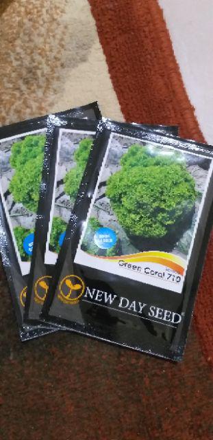 Benih Bibit Selada Green Coral Leaf Lettuce New Day Seed Nds Kemasan Asli