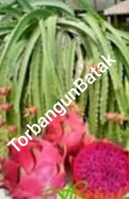 Vanish Cair Pouch 425ml Pink