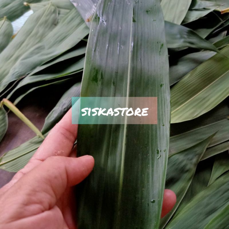 

Daun Bambu segar / pembungkus makanan tradisional 200 lembar