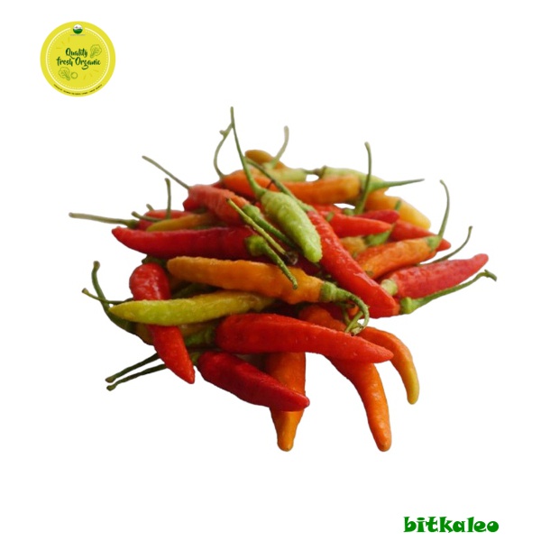 

Cabai Rawit Merah Organik 100 gr