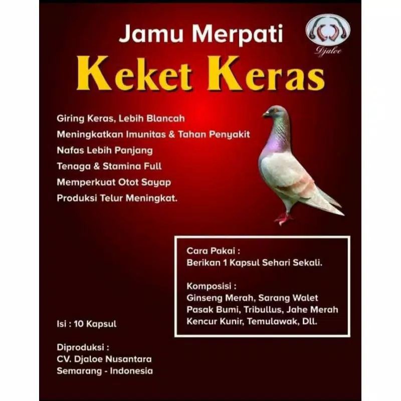 KEKET KERAS merpati