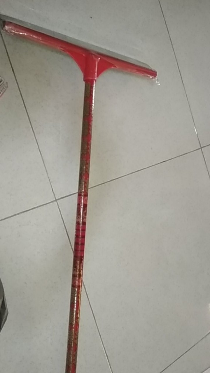 Wiper Lantai/sorok Air Spon