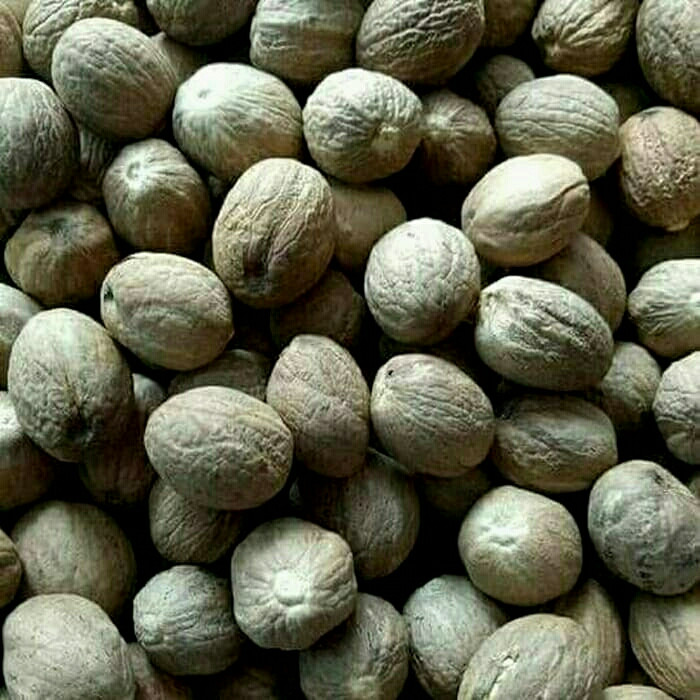 

Buruan Beli - Biji Pala Bulat