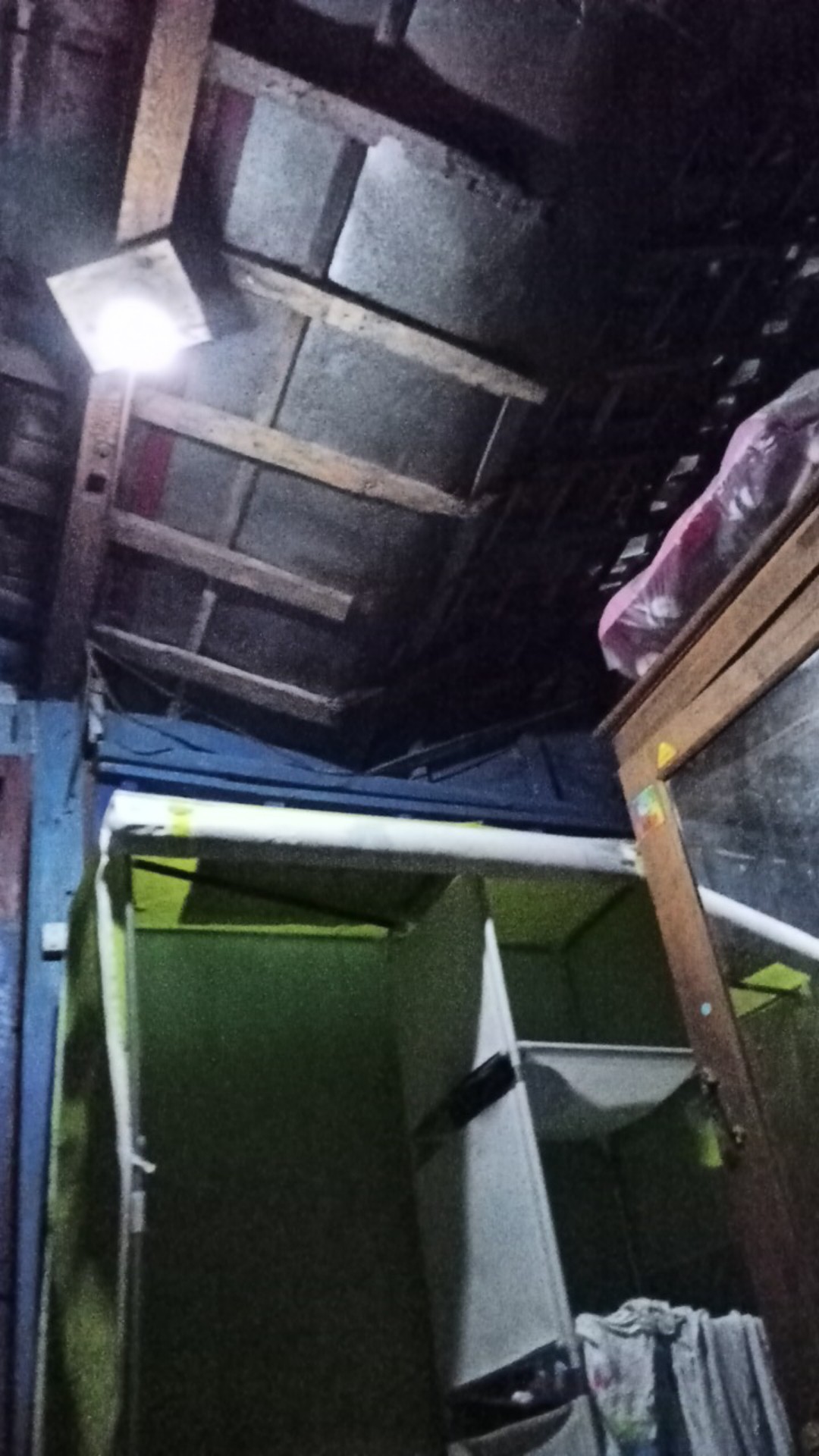 Bunga Peony Mangkok Sedang