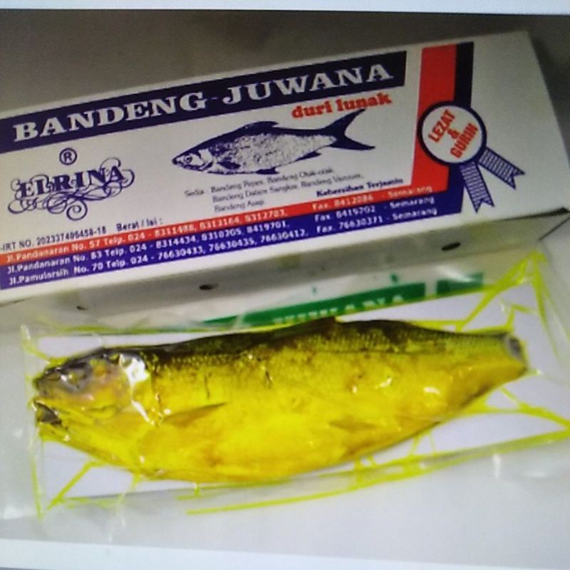 

bandeng vacuum basah 1 ekor (ketahanan 5hari)