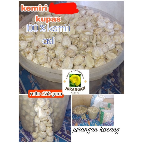 

kemiri super | kemiri kupas | kemiri murah