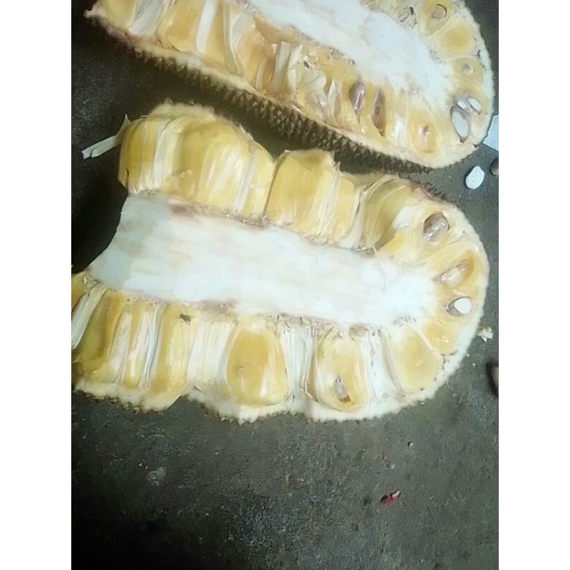 

Buah Nangka Masak Segar Makassar 1 Potong