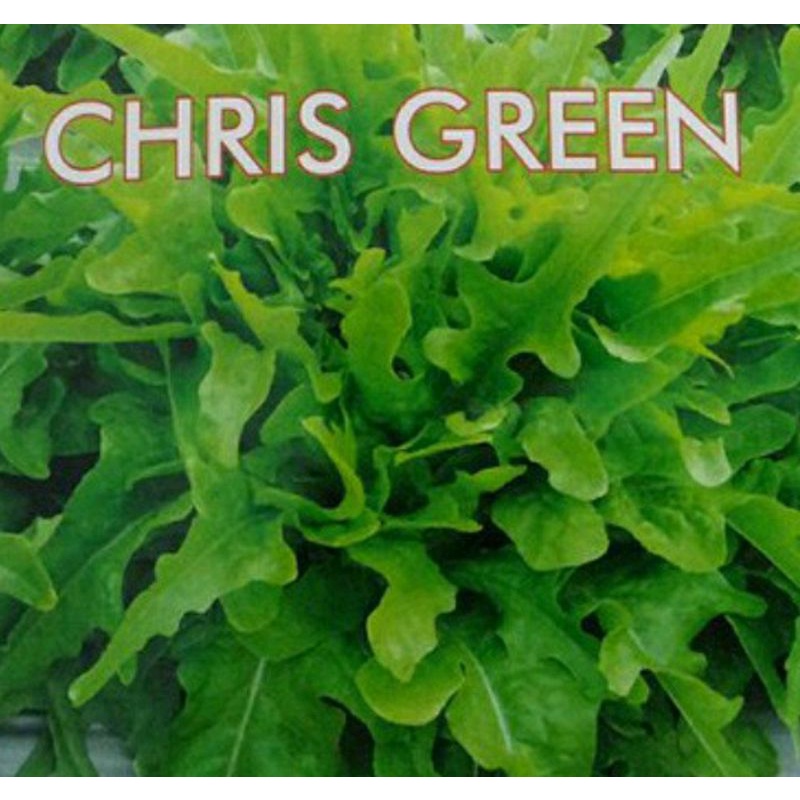 50 biji Benih Selada Hijau CHRIS GREEN Known you seed