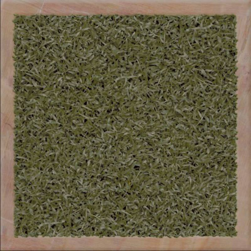 KERAMIK LANTAI KIA RUMPUT COLONY GREEN HD 30X30 KW1