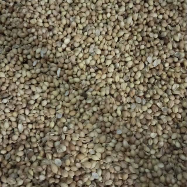 

Ketumbar India Bulat / Coriander 250 gram